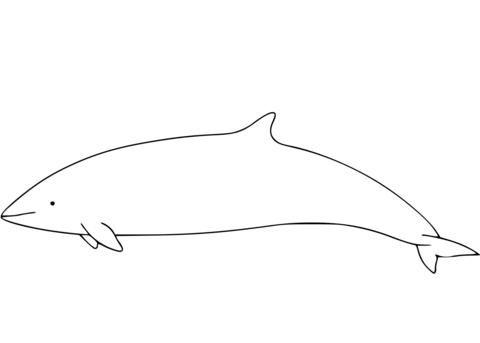 Fraser'S Dolphin Coloring Page